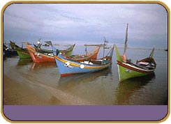 terren1.jpg (11181 bytes)